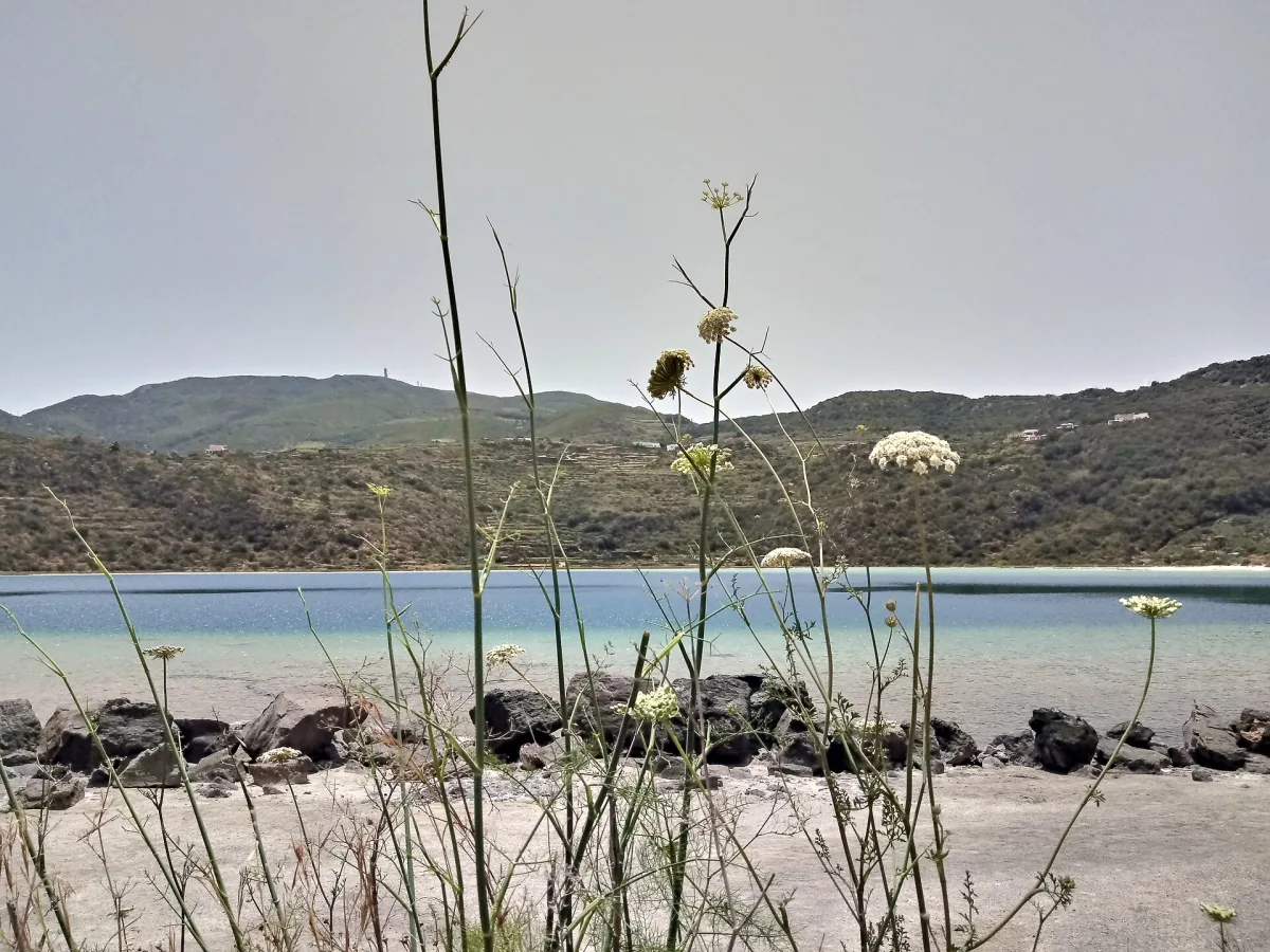 Tour in barca a Pantelleria: le calette più belle secondo i locali