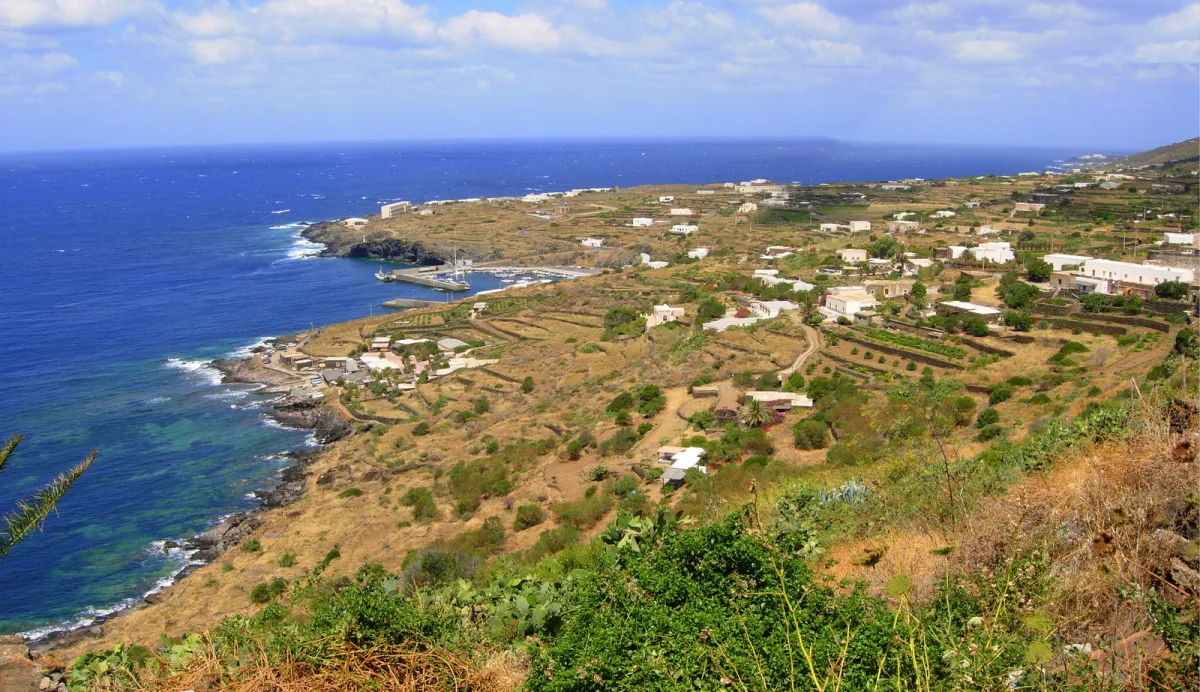 Vendemmia e Festa della Raccolta Pantelleria 2026: date e programma