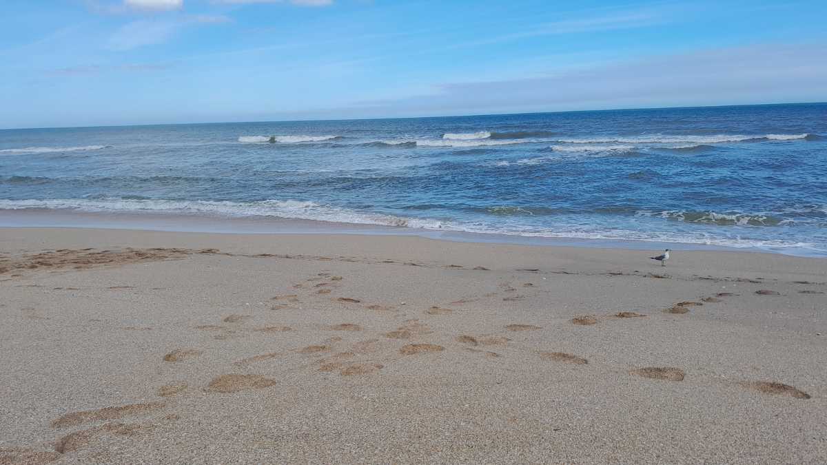 Qual è la spiaggia più bella di Pantelleria nel 2026? Classifica e consigli